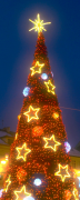 árvore-de-natal 11 lista